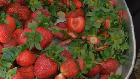 In a street corner of Beirut's Ashrafieh neighbourhood, a small shop has been serving what has been dubbed locally as the world's best ice cream in Lebanon.(photo grabbed from Reuters video)