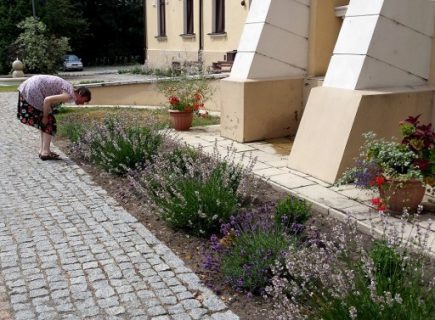 A woman with autism symptoms looks at flowers at state-run, mental health care home care in Ruskie Piaski, on July 8, 2015. Alina Anasiewicz, the director of the Ruskie Piaski care home which is one of the leading centres in Poland for garden therapy, says she came across it on a 2013 study trip to Switzerland. / AFP PHOTO / Alina ANASIEWICZ