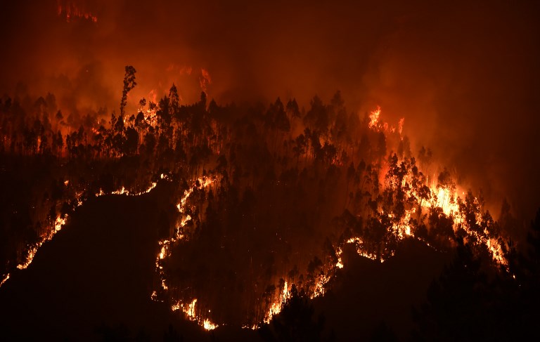A picture taken on June 18, 2017 shows a forest in flames during a wildfire near the village of Mega Fundeira. Portugal declared three days of national mourning from June 18, 2017 after the most deadly forest fire in its recent history, raging through the centre of the country. The fire, which broke out June 17, 2017 in the Pedrogao Grande district, had killed at least 62 people and injured more than 50, according to the latest official update by Sunday afternoon. / AFP PHOTO / MIGUEL RIOPA