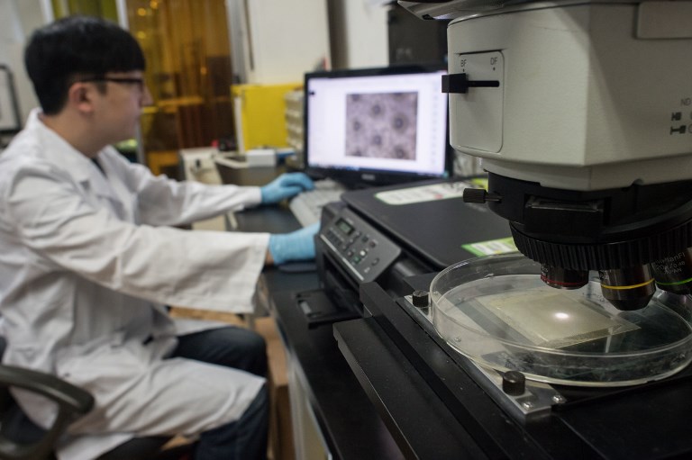 In a photo taken on June 16, 2017 a chemical engineering student looks at a microscope image of a strip of ahesive inspired by octopus suction cups, at his laboratory at the Sung Kyun Kwan university outside Seoul. The clinging power of octopus tentacles has inspired a breakthrough new adhesive patch that works on wet and oily surfaces with potentially huge medical and industrial uses, South Korean researchers told AFP. The team found the octopuses' impressive suction power was thanks to small balls inside the suction cups that line each of their tentacles. The new "wet-tolerant" adhesive patch has been hailed as a breakthrough by the country's science and technology ministry and there are hopes it will be able to be used for everything from heavy industry to dressing wounds. / AFP PHOTO / Ed JONES