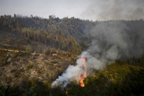 A wildfire burns a forest area in Castanheira de Pera on June 19, 2017. More than 1,000 firefighters are still trying to control the huge forest fire that erupted on June 17, 2017 in central Portugal killing at least 62 people and injuring 62 more, many trapped in their cars by the flames, causing a great deal of emotion in the country.  / AFP PHOTO / PATRICIA DE MELO MOREIRA