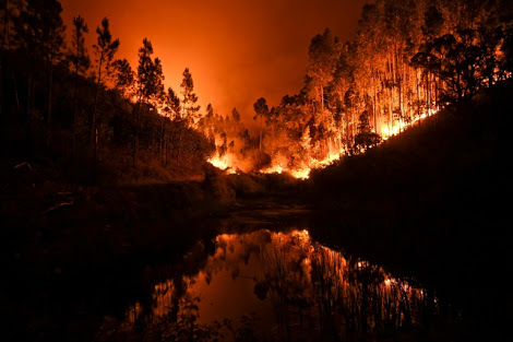 Some 60 forest fires have broken out across Portugal with around 1,700 firefighters battling to extinguish them. AFP / Patricia de Melo Moreira