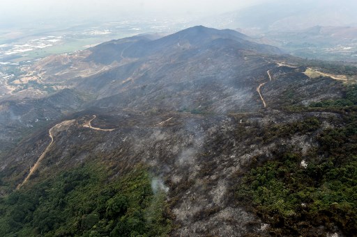 patch of amazon forest on a mountain side severely burned