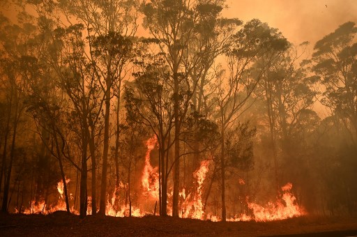 bush fire in the australian outback