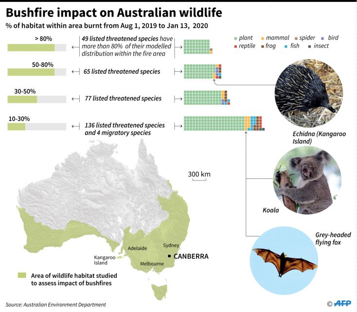 australia-fires-devastating-habitats-of-endangered-species