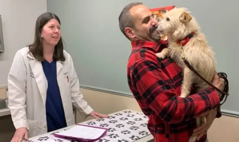 missing dog california